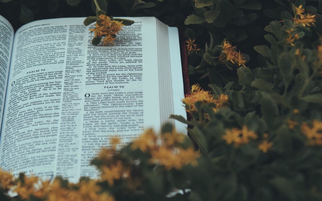 Bible in yellow flowers open to Psalms